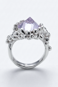 ANILLO PELIGROSAMENTE TIERNO