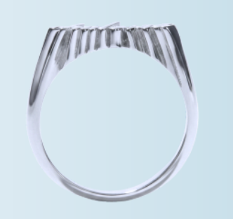 ANILLO CHULERIA