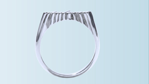 ANILLO CHULERIA